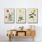 Flowers of the Seasons X - Floater Framed Canvas Set