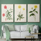 Flowers of the Seasons X - Floater Framed Canvas Set