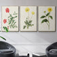 Flowers of the Seasons X - Floater Framed Canvas Set