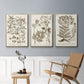 Sepia Botanical Journal I - Floater Framed Canvas Set