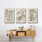 Sepia Botanical Journal I - Floater Framed Canvas Set