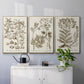 Sepia Botanical Journal I - Floater Framed Canvas Set