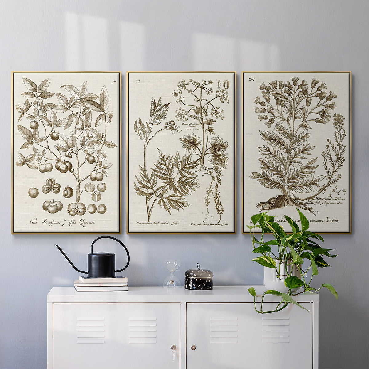 Sepia Botanical Journal I - Floater Framed Canvas Set