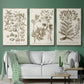 Sepia Botanical Journal I - Floater Framed Canvas Set