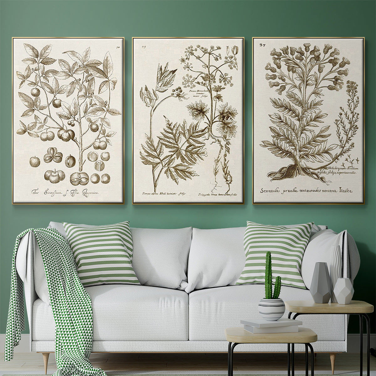 Sepia Botanical Journal I - Floater Framed Canvas Set