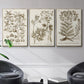 Sepia Botanical Journal I - Floater Framed Canvas Set