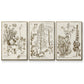 Sepia Botanical Journal IV - Floater Framed Canvas Set