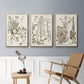 Sepia Botanical Journal IV - Floater Framed Canvas Set