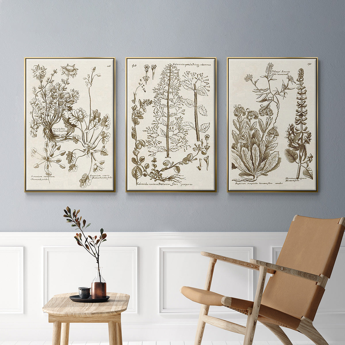 Sepia Botanical Journal IV - Floater Framed Canvas Set
