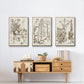 Sepia Botanical Journal IV - Floater Framed Canvas Set