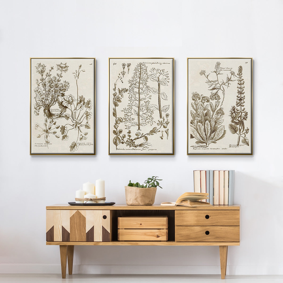 Sepia Botanical Journal IV - Floater Framed Canvas Set