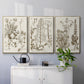 Sepia Botanical Journal IV - Floater Framed Canvas Set