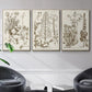 Sepia Botanical Journal IV - Floater Framed Canvas Set