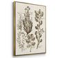 Sepia Botanical Journal VI - Floater Framed Canvas Set