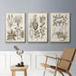 Sepia Botanical Journal VI - Floater Framed Canvas Set