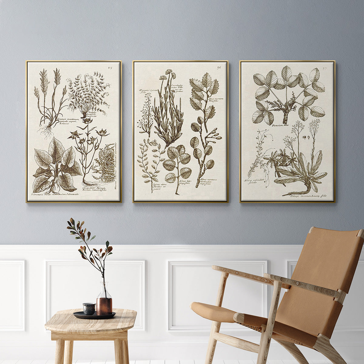 Sepia Botanical Journal VI - Floater Framed Canvas Set