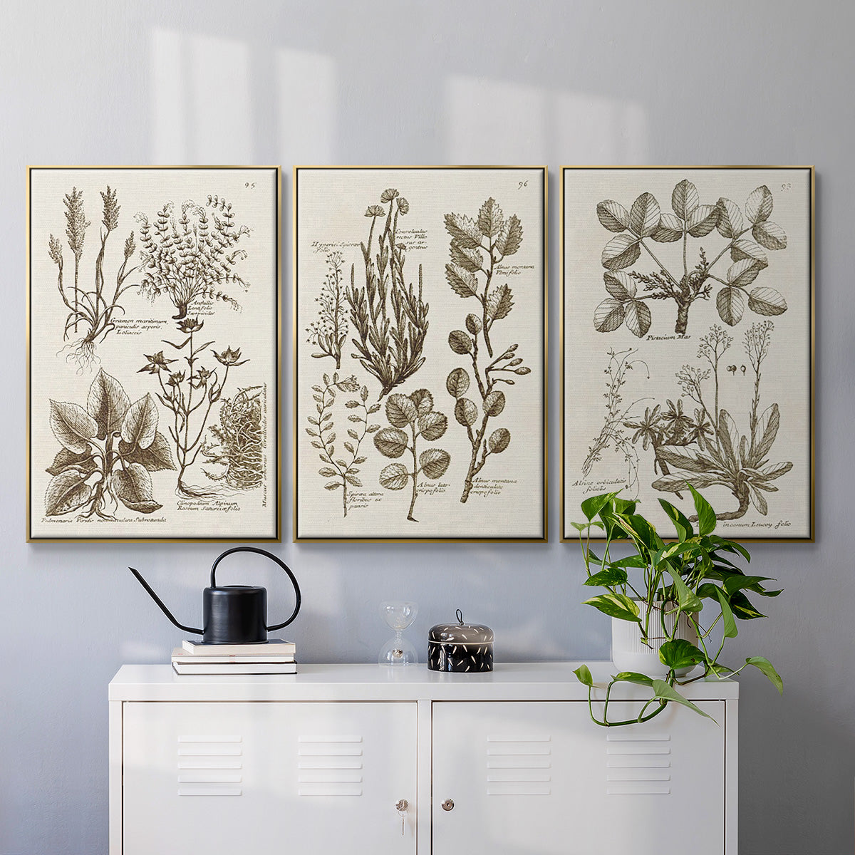 Sepia Botanical Journal VI - Floater Framed Canvas Set