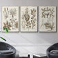Sepia Botanical Journal VI - Floater Framed Canvas Set
