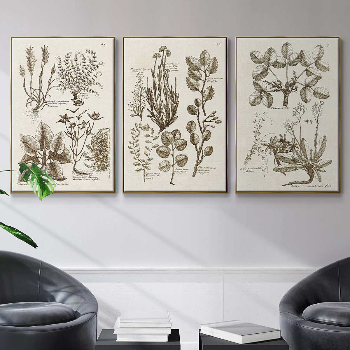 Sepia Botanical Journal VI - Floater Framed Canvas Set