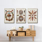 Spiral Shell Formation I - Floater Framed Canvas Set