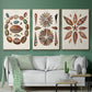Spiral Shell Formation I - Floater Framed Canvas Set