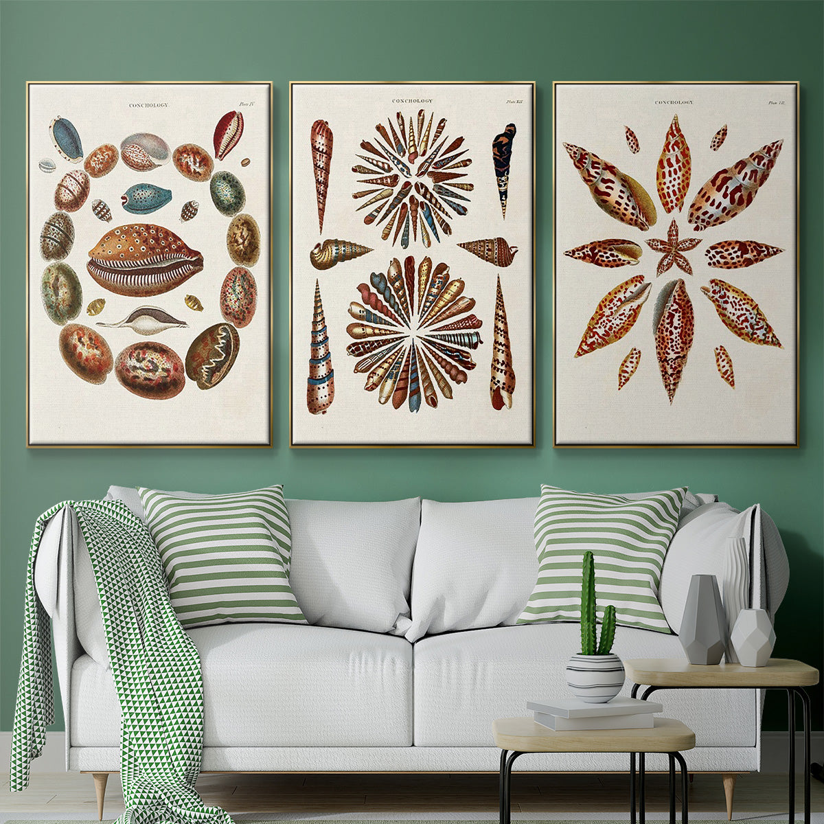 Spiral Shell Formation I - Floater Framed Canvas Set