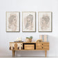 Greek Busts IV - Floater Framed Canvas Set