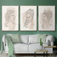 Greek Busts IV - Floater Framed Canvas Set