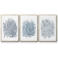 Summer Herb Garden Sketches I - Floater Framed Canvas Set