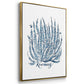Summer Herb Garden Sketches I - Floater Framed Canvas Set
