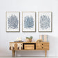 Summer Herb Garden Sketches I - Floater Framed Canvas Set