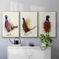 Pheasant Splash 3 - Floater Framed Canvas Set