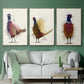 Pheasant Splash 3 - Floater Framed Canvas Set