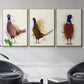 Pheasant Splash 3 - Floater Framed Canvas Set