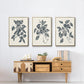 Growing Leaves I - Floater Framed Canvas Set