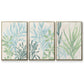 Swaying Seagrass I - Floater Framed Canvas Set