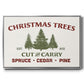 Christmas Farm Sign I - Floater Framed Canvas Print