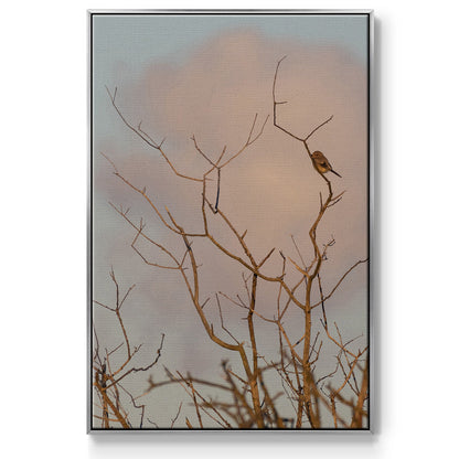 At Dawn - Floater Framed Canvas Print