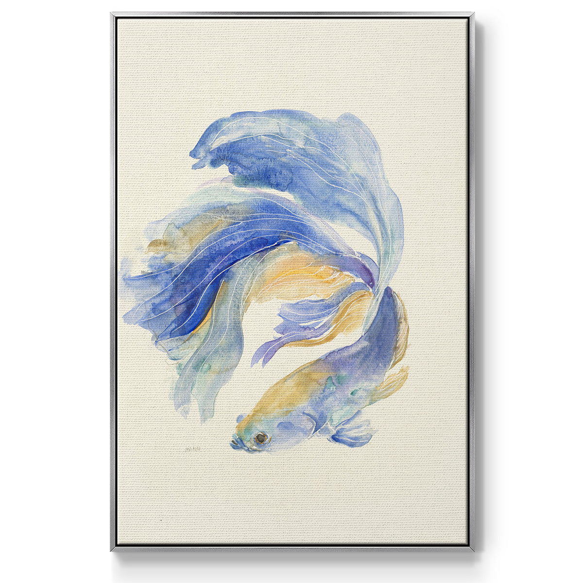 Betta II - Floater Framed Canvas Print