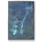 Branching Out VIII - Floater Framed Canvas Print