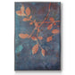 Branching Out XVIII - Floater Framed Canvas Print