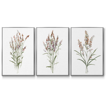 Dainty Botanical I - Floater Framed Canvas Set