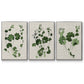 Forest Foliage on Linen I - Floater Framed Canvas Set