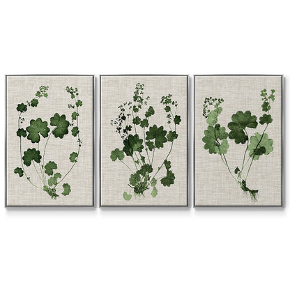 Forest Foliage on Linen I - Floater Framed Canvas Set