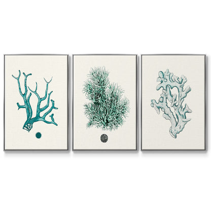 Antique Coastal Coral IV - Floater Framed Canvas Set
