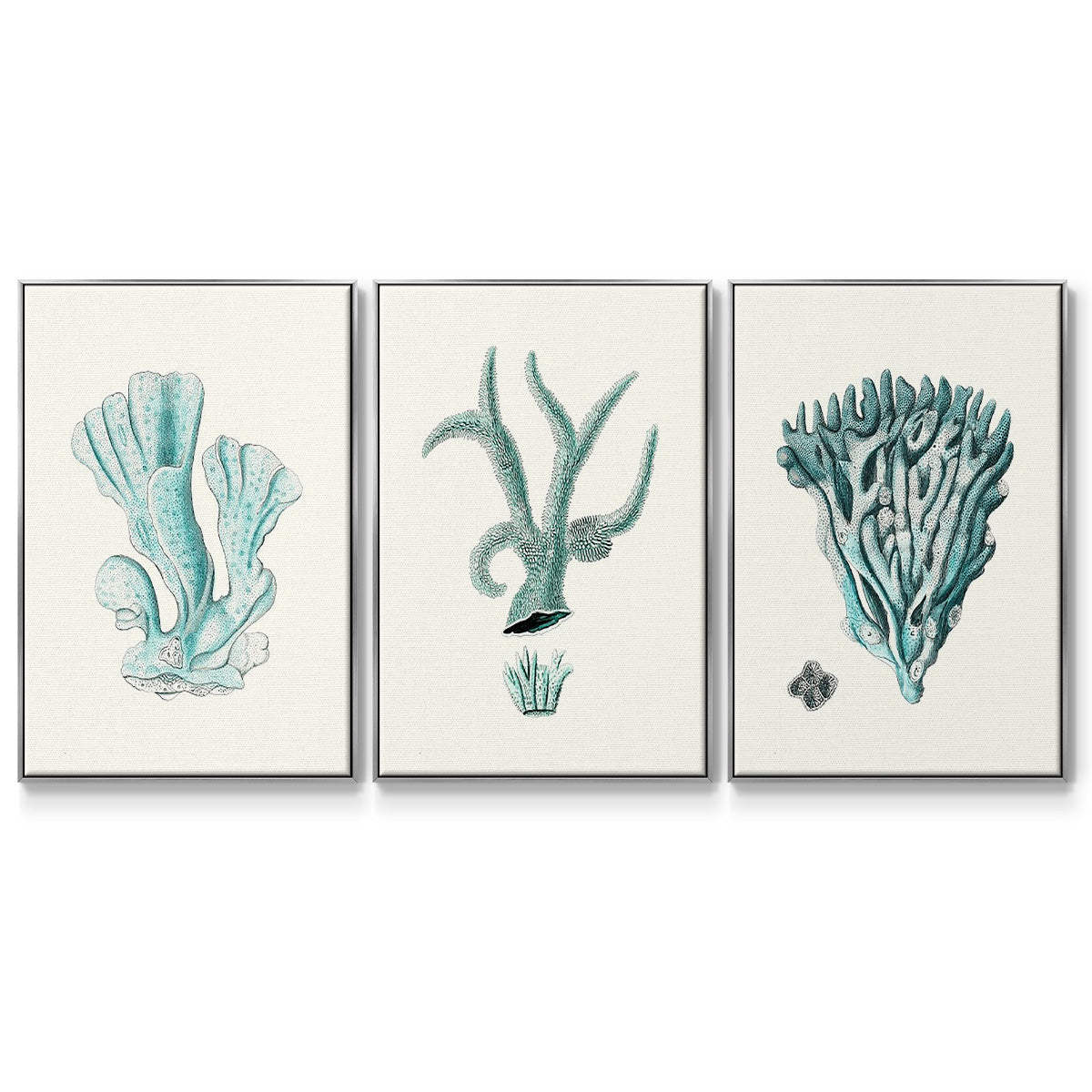 Antique Coastal Coral X - Floater Framed Canvas Set