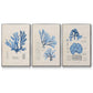 Blue Marine Algae IV - Floater Framed Canvas Set