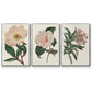 Pink Floral Mix VI - Floater Framed Canvas Set