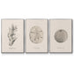 Shore Treasure Study I - Floater Framed Canvas Set