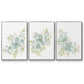 Seafoam Petals I - Floater Framed Canvas Set